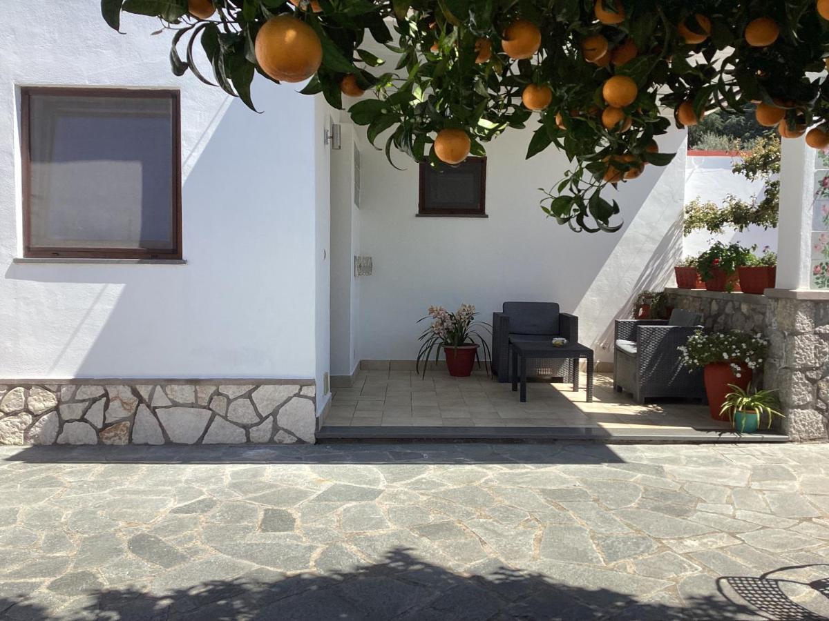 B&B Casetta Minghitto Anacapri  Dış mekan fotoğraf